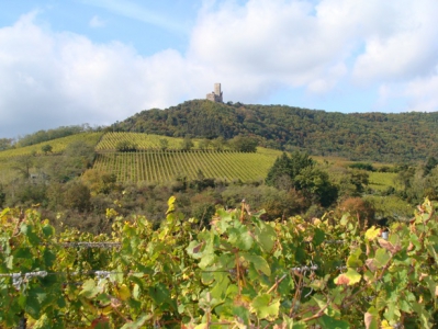 chalet locations de vacances STEIGE